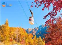 [HCM] Tour Nhật Bản Mùa Thu: Thế Giới Mây Shinhotaka Ropeway